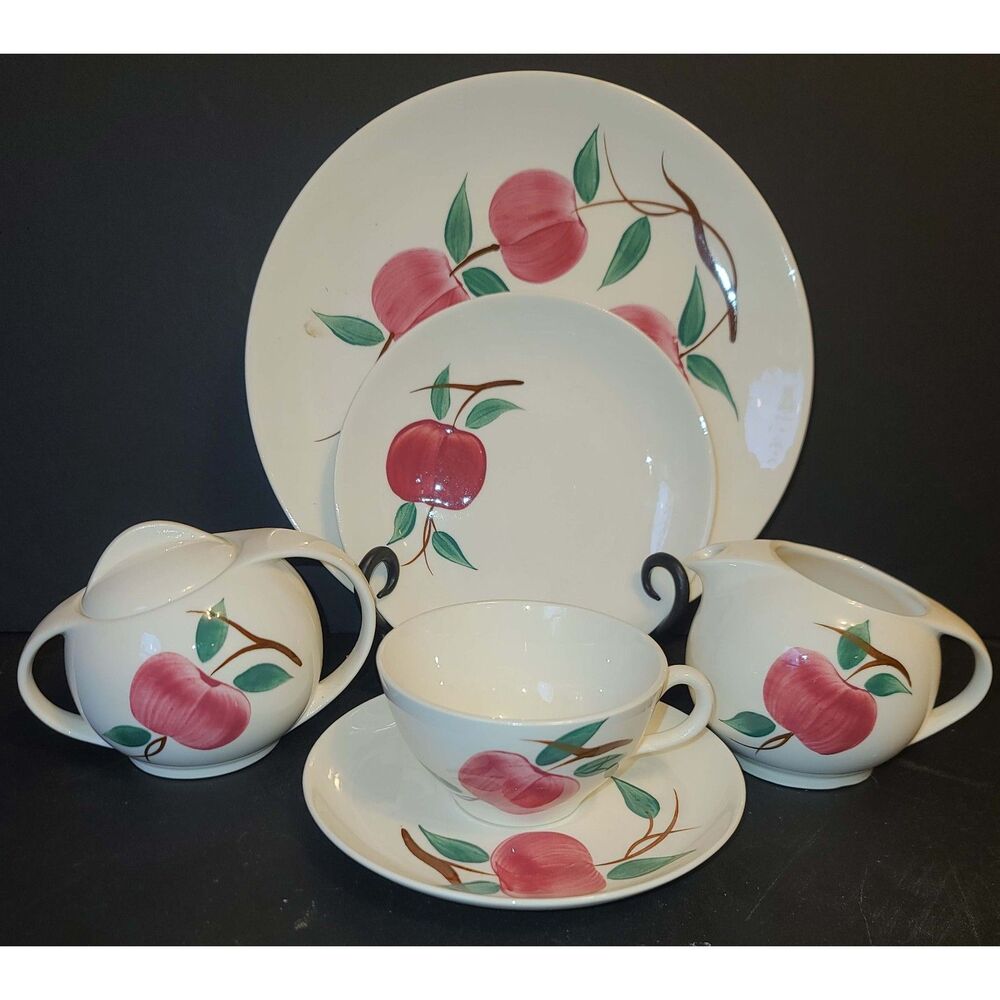 1950's Canonsburg Pottery Sky Line Apple Motif Dinnerware Set 16pc USA Made RARE
